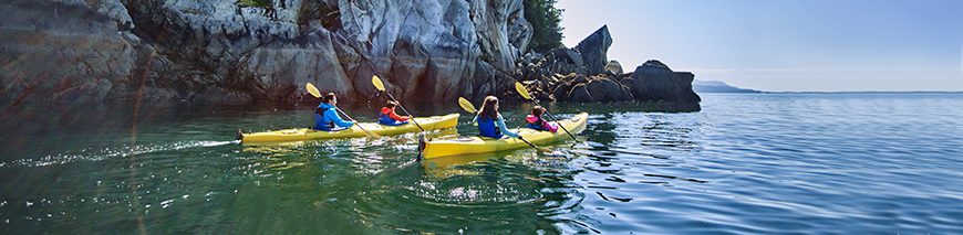 Feel Free to Let the Outside in with Norwegian Cruise Line